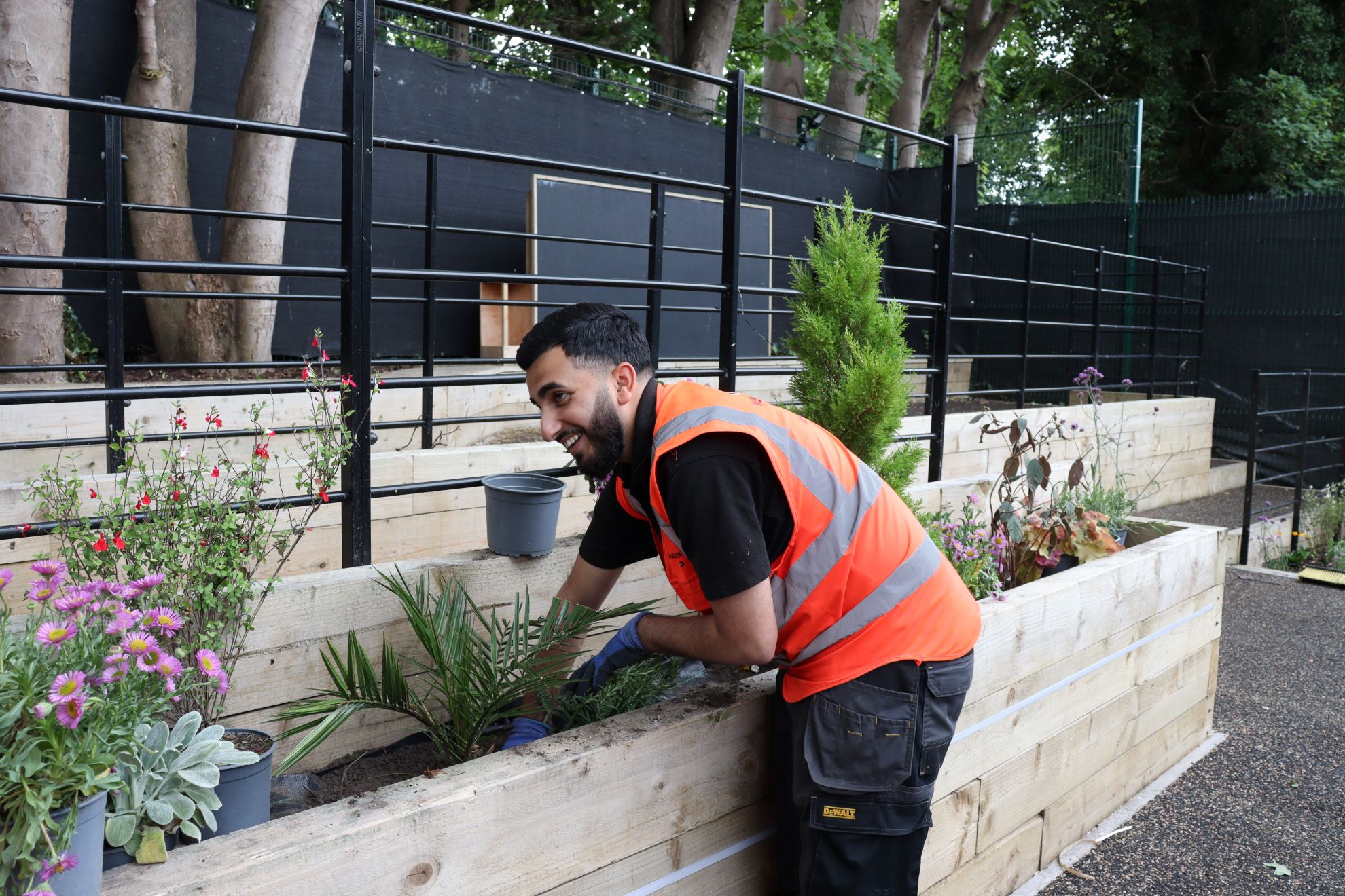 Amaan Subhani low 1.JPG