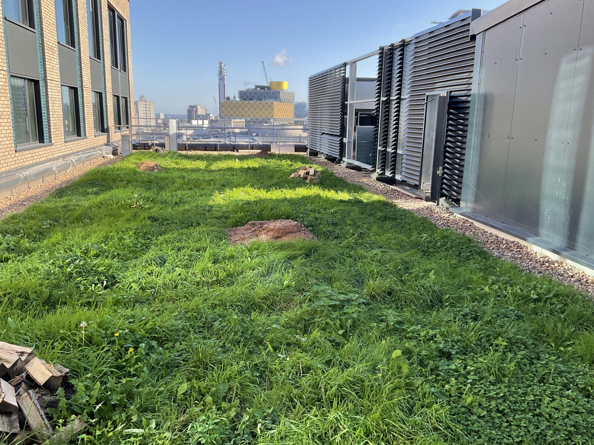 10 Brindleyplace Green Roof.jpg