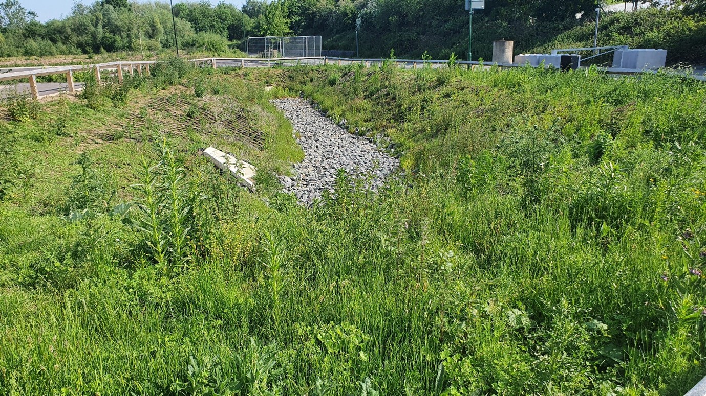 Nottingham Science Park swale.jpg