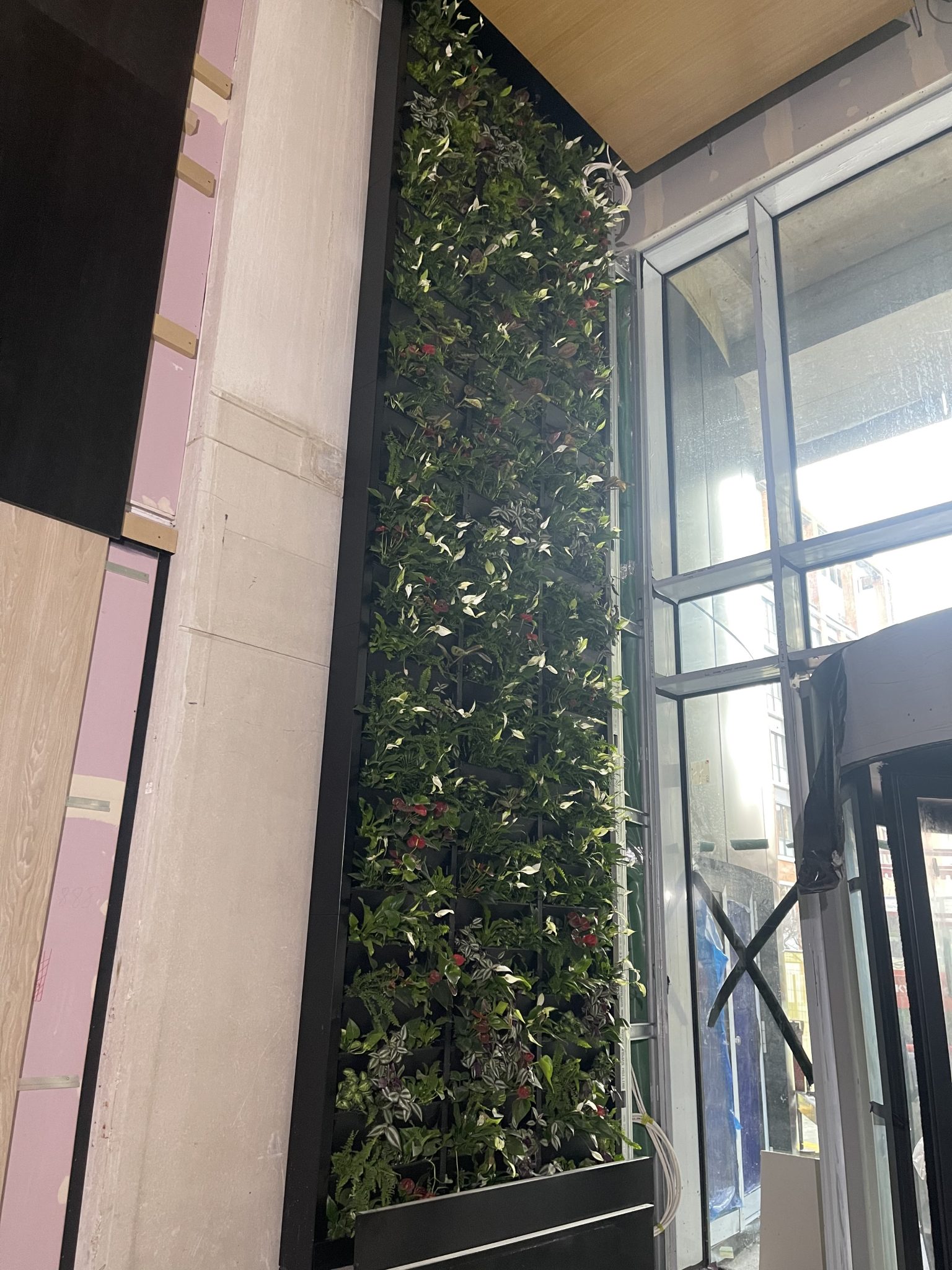 Brindleyplace internal green wall.jpeg